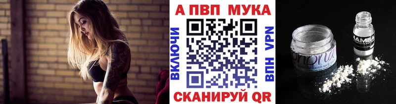 Альфа ПВП СК  Кисловодск 