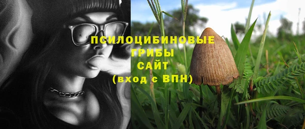 гидропоника Вяземский