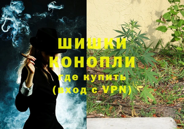 гидропоника Вяземский