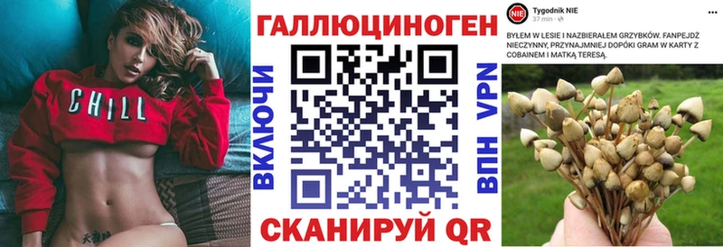 блэк спрут онион  хочу   Кисловодск  Псилоцибиновые грибы GOLDEN TEACHER 