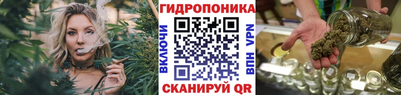 блэк спрут как зайти  Кисловодск  Бошки марихуана сатива  закладки 